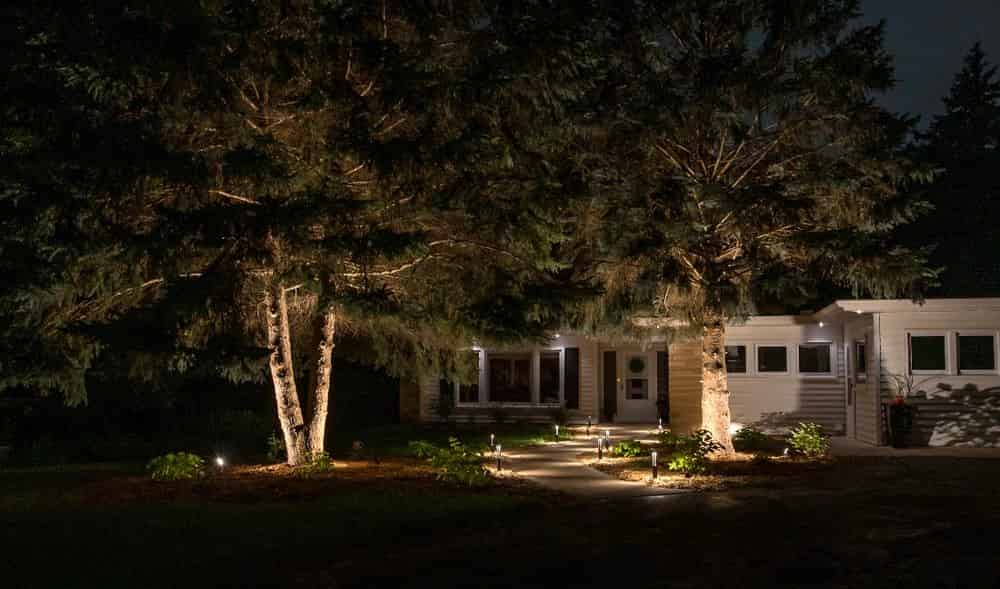 Landscape Lighting Installation image