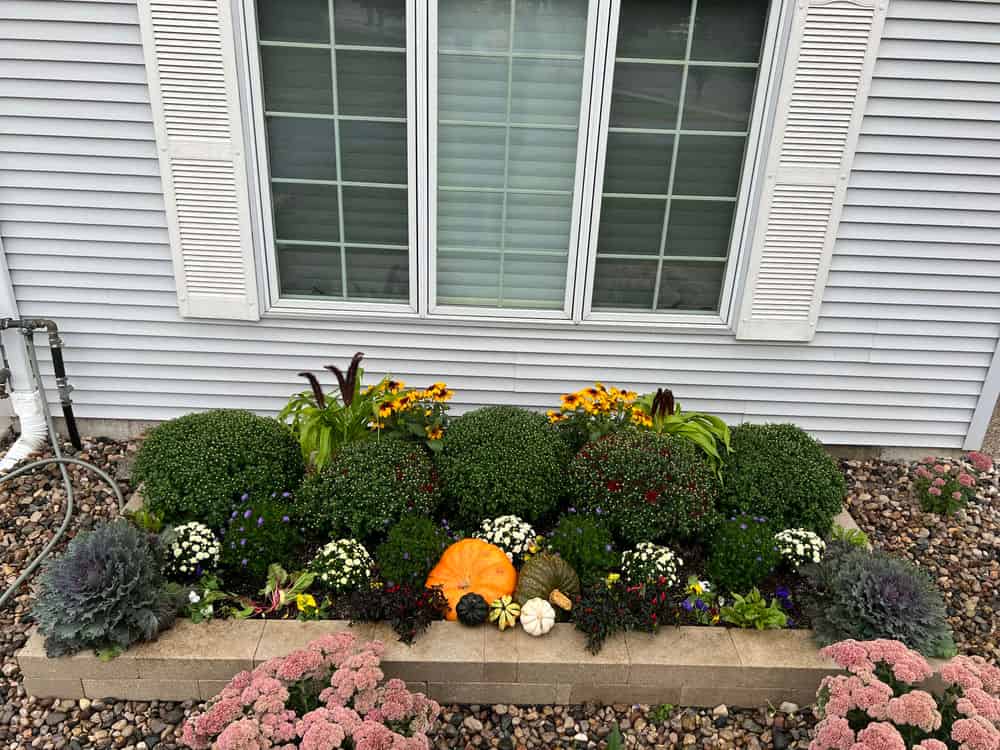 Annual Flower Planting image