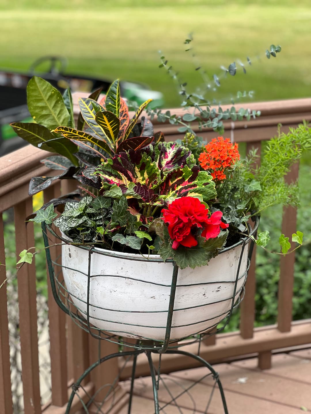 Colorful flower arrangement in a vintage wire planter on a wooden deck.