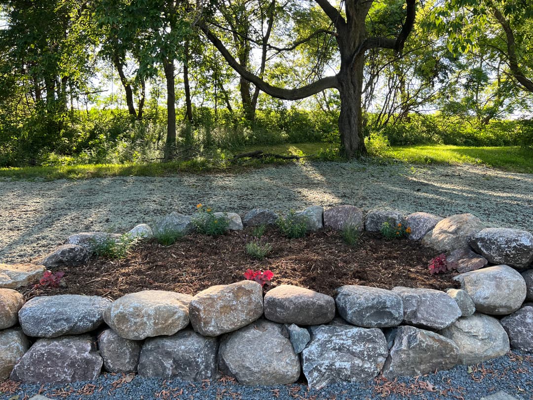 Stone flower bed with colorful plants and trees in the background, illuminated by sunlight.