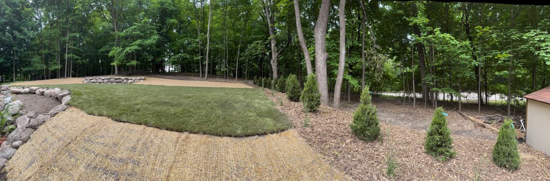 Panoramic view of a landscaped area with grass, mulch, and saplings in a wooded setting.